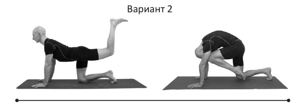 Йогатерапия. Практическое руководство