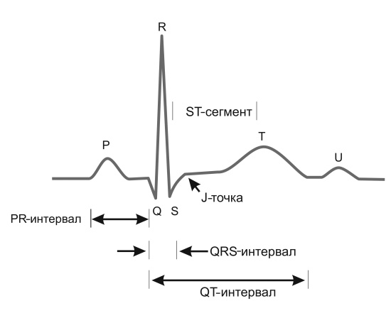 Медицинские исследования. Полный справочник