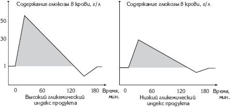 Атлас. Анатомия и физиология человека