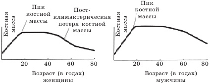 Остеопороз. Тихая эпидемия XXI века