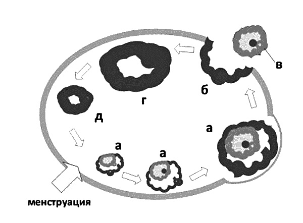 Бесплодие – не приговор!