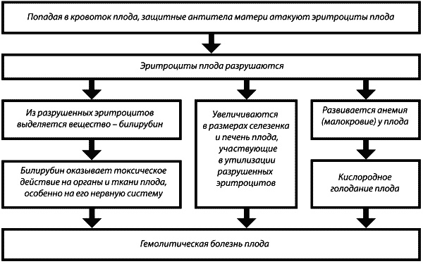 Материнство. От зачатия до родов