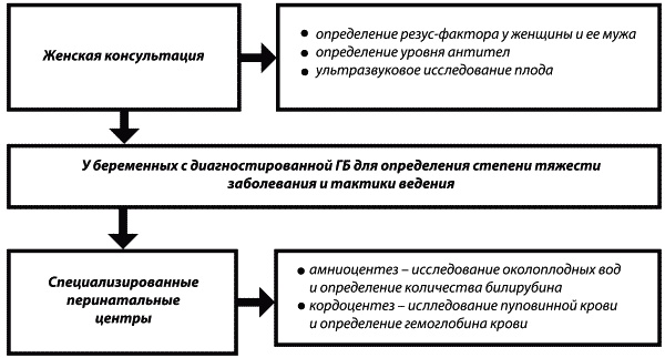 Материнство. От зачатия до родов