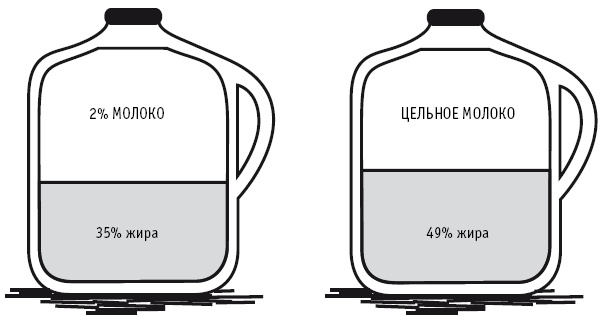 Питание как основа здоровья. Самый простой и естественный способ за 6 недель восстановить силы организма и сбросить лишний вес