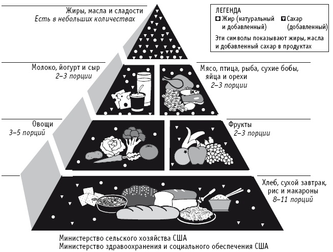 Питание как основа здоровья. Самый простой и естественный способ за 6 недель восстановить силы организма и сбросить лишний вес