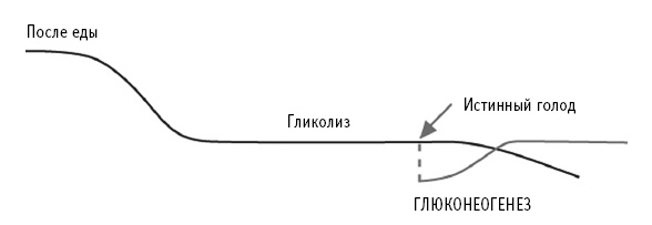 Питание как основа здоровья. Самый простой и естественный способ за 6 недель восстановить силы организма и сбросить лишний вес