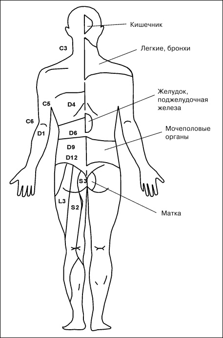 Массаж от классики до экзотики. Полная энциклопедия систем, видов, техник, методик