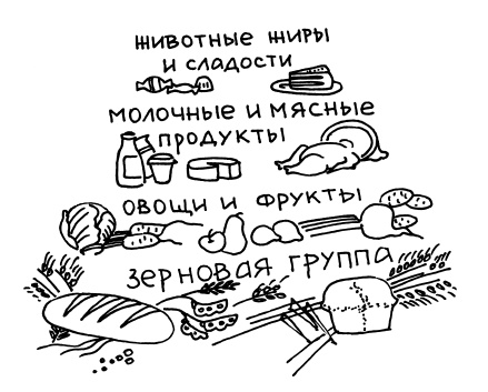 Буду мамой! Все о беременности и первом годе жизни малыша. 1000 ответов на 1000 главных вопросов