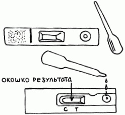 1001 вопрос будущей мамы. Большая книга ответов на все вопросы