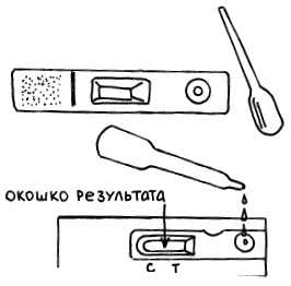 Все, что будущая мама хочет знать, но не знает, у кого спросить