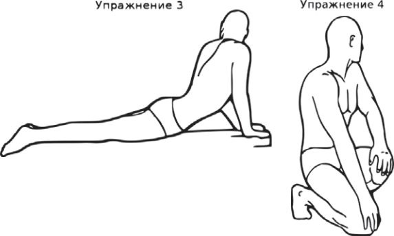 Сыроедение против предрассудков. Эволюция в питании человека