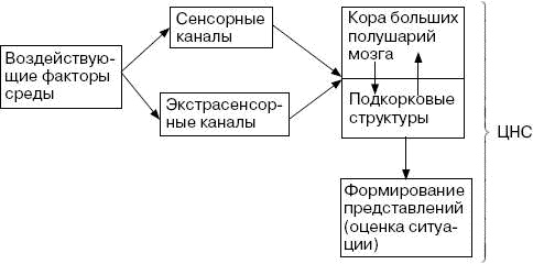 Человек в экстремальной ситуации