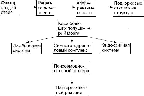 Человек в экстремальной ситуации