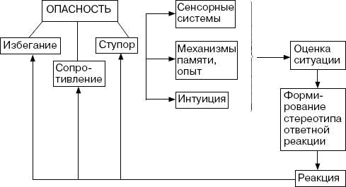 Человек в экстремальной ситуации