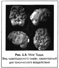 Великолепный мозг в любом возрасте