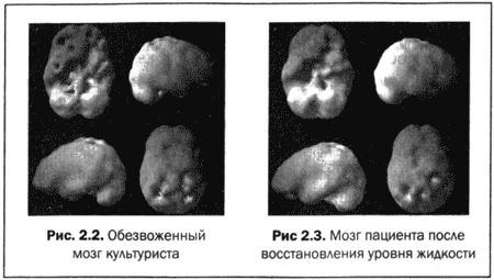 Великолепный мозг в любом возрасте