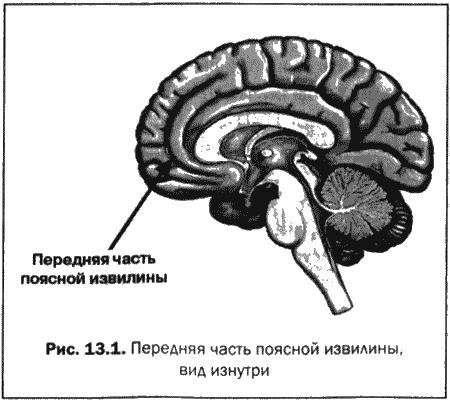 Великолепный мозг в любом возрасте