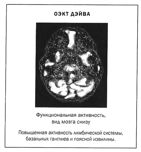 Мозг и душа. Новые открытия о влиянии мозга на характер, чувства, эмоции