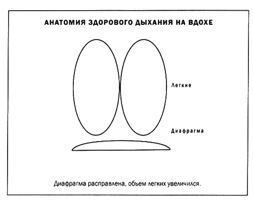 Мозг и душа. Новые открытия о влиянии мозга на характер, чувства, эмоции