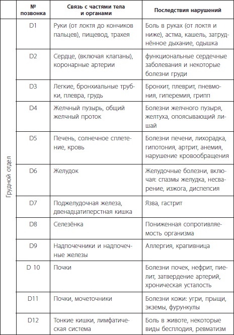 3 лучшие системы от боли в спине