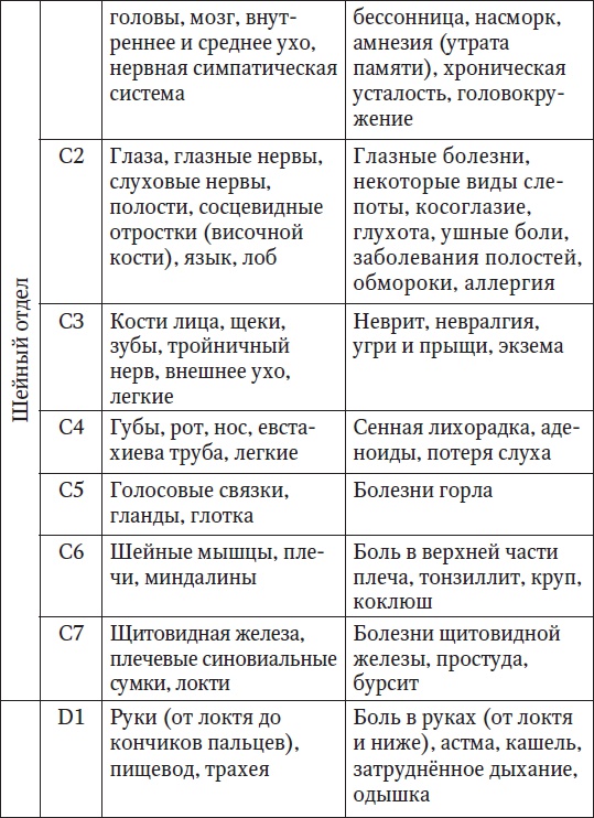 Ваш здоровый позвоночник