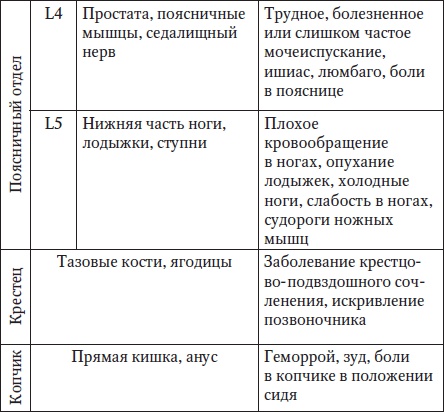 За рулем без боли в спине