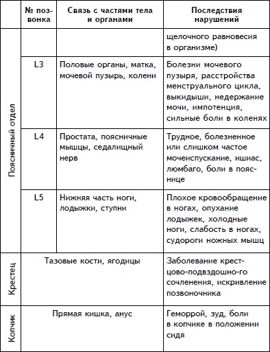 Упражнения для позвоночника. Для тех, кто в пути