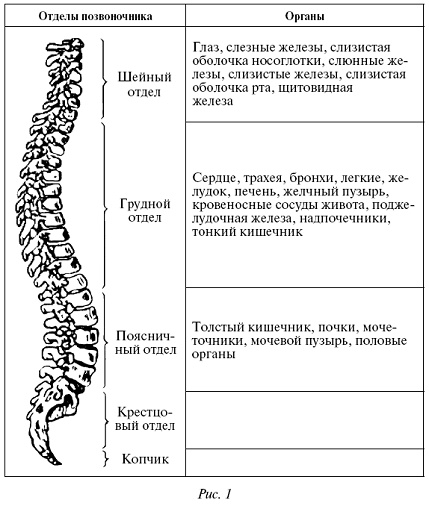 Мощная сила в борьбе с болезнями. Гомеопатия