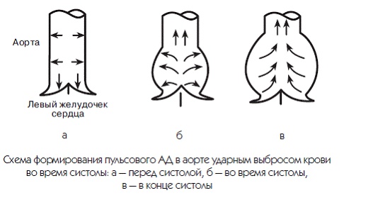 Новый взгляд на гипертонию. Причины и лечение