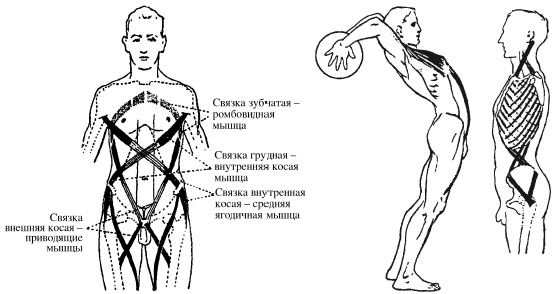 Массаж и лечебная физкультура