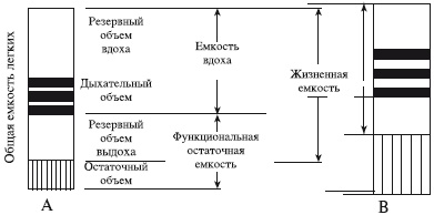 Массаж и лечебная физкультура