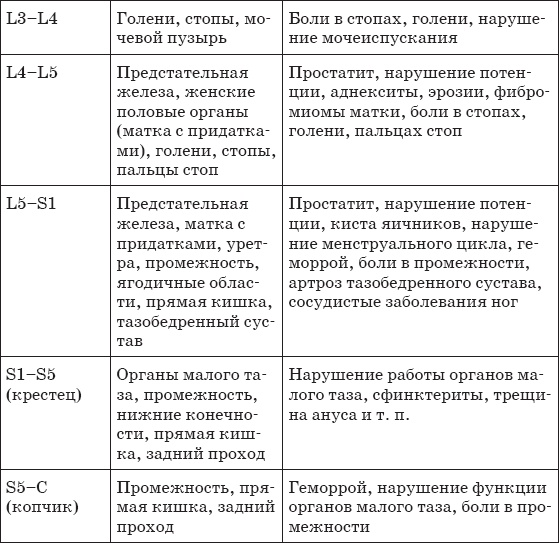 Первая скрипка позвоночника. Революционная методика лечения остеохондроза