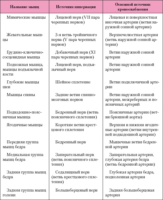 Атлас профессионального массажа