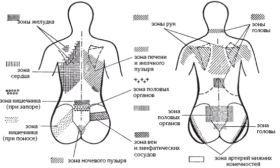 Атлас профессионального массажа