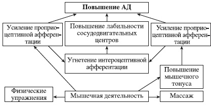 Атлас профессионального массажа