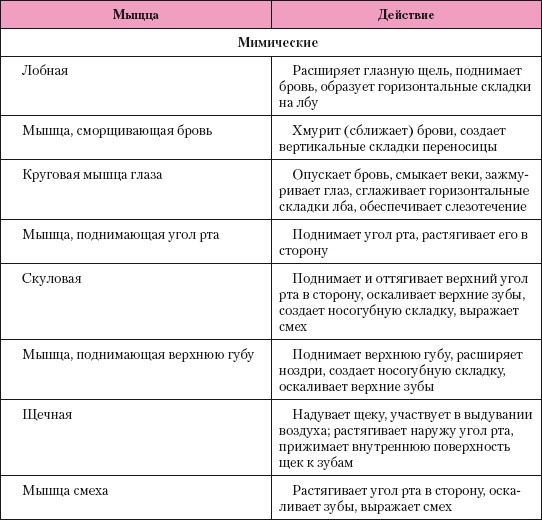 Атлас профессионального массажа