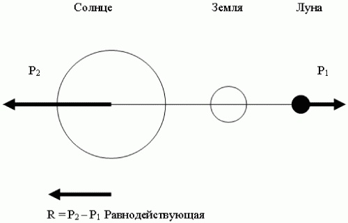 Азимут вечной молодости. Программа энергетической коррекции и регенерации живых клеток