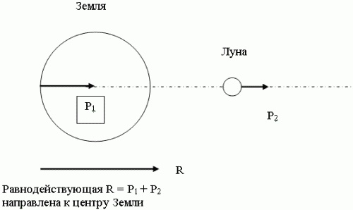 Азимут вечной молодости. Программа энергетической коррекции и регенерации живых клеток