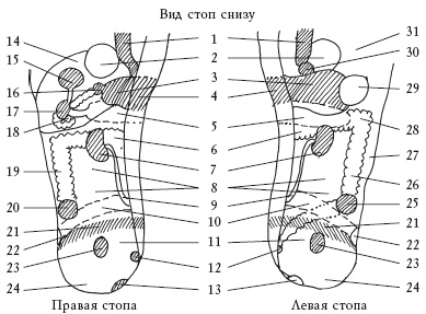 Здоровье ваших ног