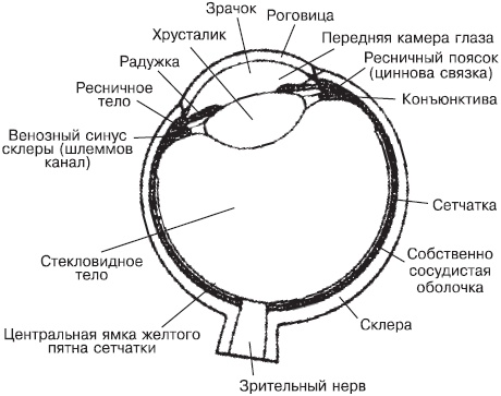 Сними очки за 10 занятий