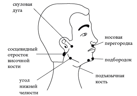 Экстренная помощь при травмах, болевых шоках и воспалениях. Опыт работы в чрезвычайных ситуациях