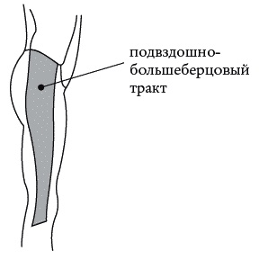 Экстренная помощь при травмах, болевых шоках и воспалениях. Опыт работы в чрезвычайных ситуациях