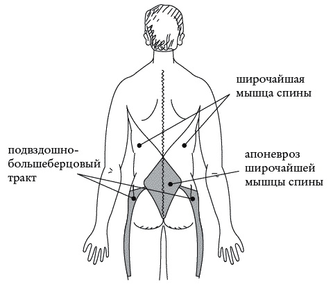 Экстренная помощь при травмах, болевых шоках и воспалениях. Опыт работы в чрезвычайных ситуациях