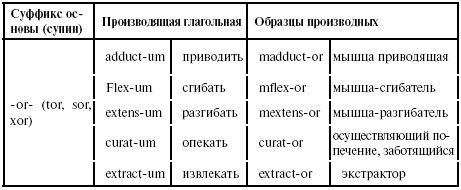 Латинский язык для медиков. Конспект лекций