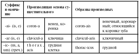 Латинский язык для медиков. Конспект лекций