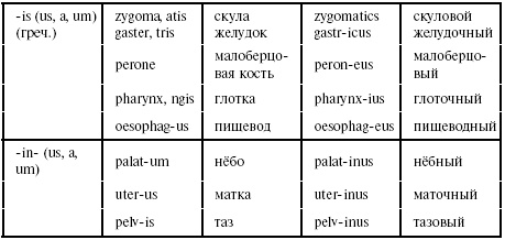 Латинский язык для медиков. Конспект лекций