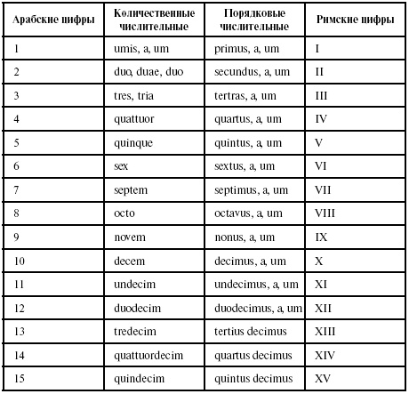 Латинский язык для медиков. Конспект лекций