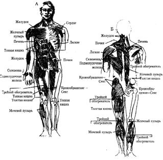 Энергетическая медицина