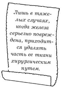 Щитовидная железа. Лучшие рецепты народной медицины от А до Я