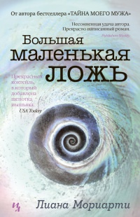 Книга Большая маленькая ложь